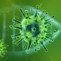 coronavirus cases in america