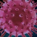 coronavirus cases in ap