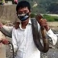 Arunachal Youth eat King Kobra amid No Rice at Home
