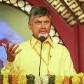 Chandrababu blames CM Jagan over corona stats