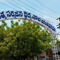 junior doctors strike at ananthapur