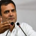 affect from Foreign Takeovers says Rahul Gandhi