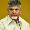 Chandrababau Naidu severe comments on Jagan