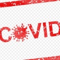 Netherlands University study on corona virus