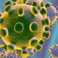 Corona Virus Changed in China More Dangerous