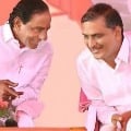 harish with kcr images