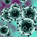 Special Article On Vorona Virus in Lancet Journal