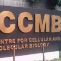 Central Government accepts to conduct corona tests in CCMB