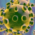  Nearly 14000 New Coronavirus Cases Reported Globally In 24 Hours says WHO