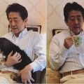 Japan PM Shinzo Abe criticised as tone deaf after lounge at home Twitter video with pet dog