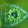 US records 1891 coronavirus deaths in past 24 hours Johns Hopkins