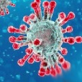 coronavirus cases in ap