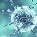 corona virus in India was weaker than in chaina
