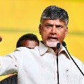 Chandrababu fires AP government over local body elections