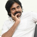 pawan kalyan about local body election