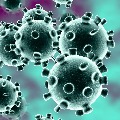 British Study Predicts 22 Lakh Coronavirus Deaths In USA