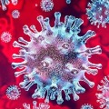 Coronavirus Could Become Seasonal Says Top US Scientist
