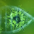 Social distancing till 2022 Harvard researchers warn of possible recurrent outbreaks of novel coronavirus
