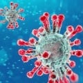 Corona virus cases rose to 10 in Andaman