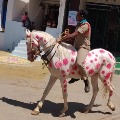 Andhra Pradesh Sub Inspector Maruti Sankar painted with images corona