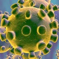 9 corona virus patients escapes form isolation wards