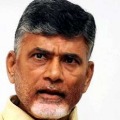 TDP Leader chandrababu Naidu video conference