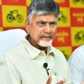 chandrababu writes letter to ec