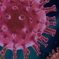 coronavirus cases in ap