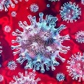 CDC tells six more symptoms could be corona