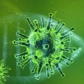 coronavirus cases in india