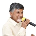 Chandrababu satires on Jagan