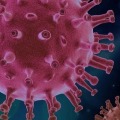 China Reports No New Coronavirus Deaths for First Time Since January But Imported Cases Continue