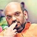 Amit Shah said statements like goli maaro should not have been made by BJP leaders