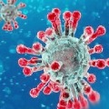 coronavirus cases in ap