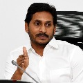 AP CM Jagan says we have complained against SEC Ramesh kumar