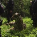 Armed Police Called To Capture Tiger in Uk after that what happend