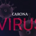 no corona virus in taiwan person