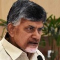 chandrababu comments on Holi