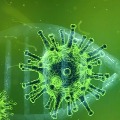 Global virus toll tops with  more deaths in China