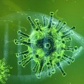 coronavirus cases in india