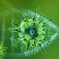 coronavirus cases in telangana