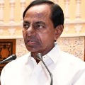 Cm Kcr says  I do nont have my Birth Certificate 