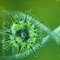 Coronavirus attack to slow down IT growth