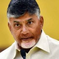 Chandrababu Naidu comments on YSRCP leaders