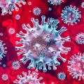 Antiviral Drug Remdesivir May be Effective in Stopping Replication of Coronavirus ICMR